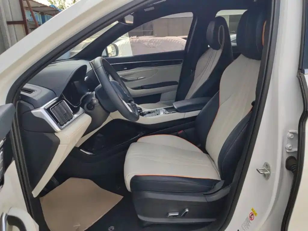 BYD PLUS New Energy — фото 15