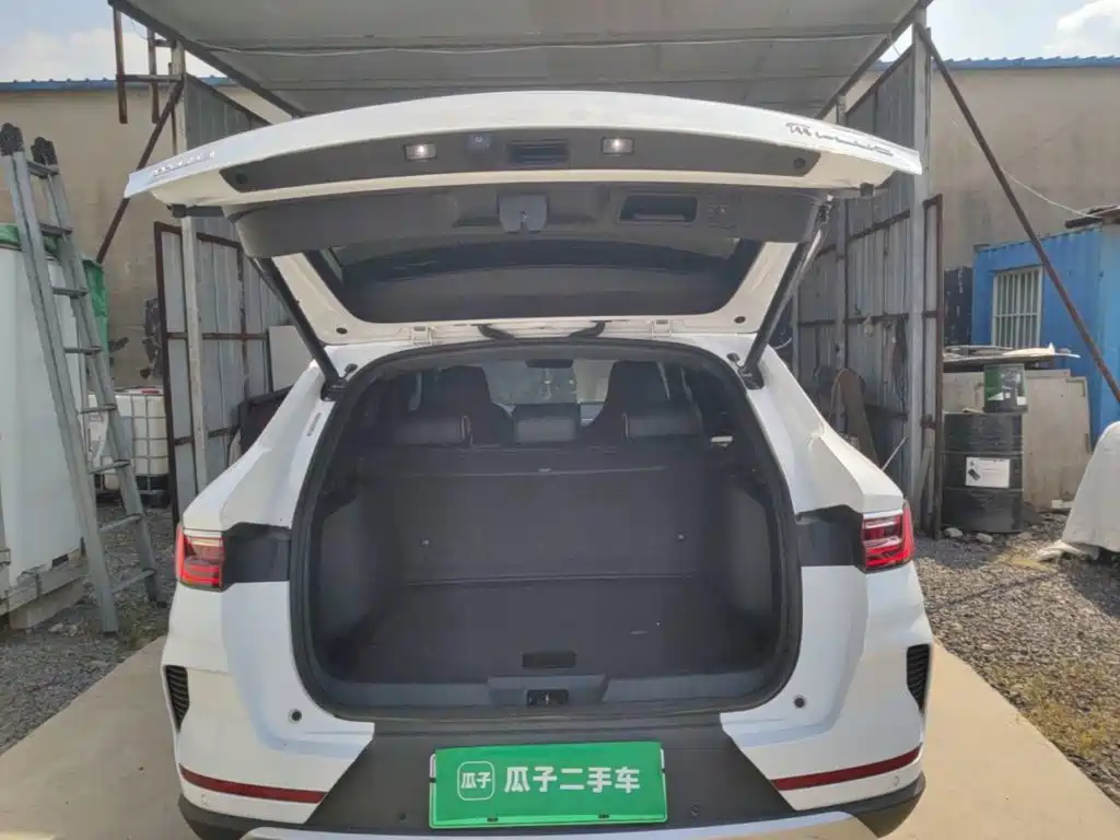 BYD PLUS New Energy — фото 19