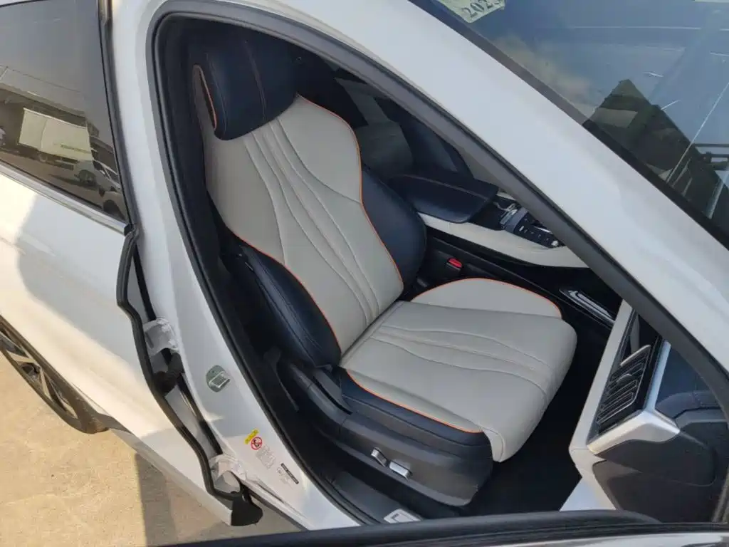 BYD PLUS New Energy — фото 25