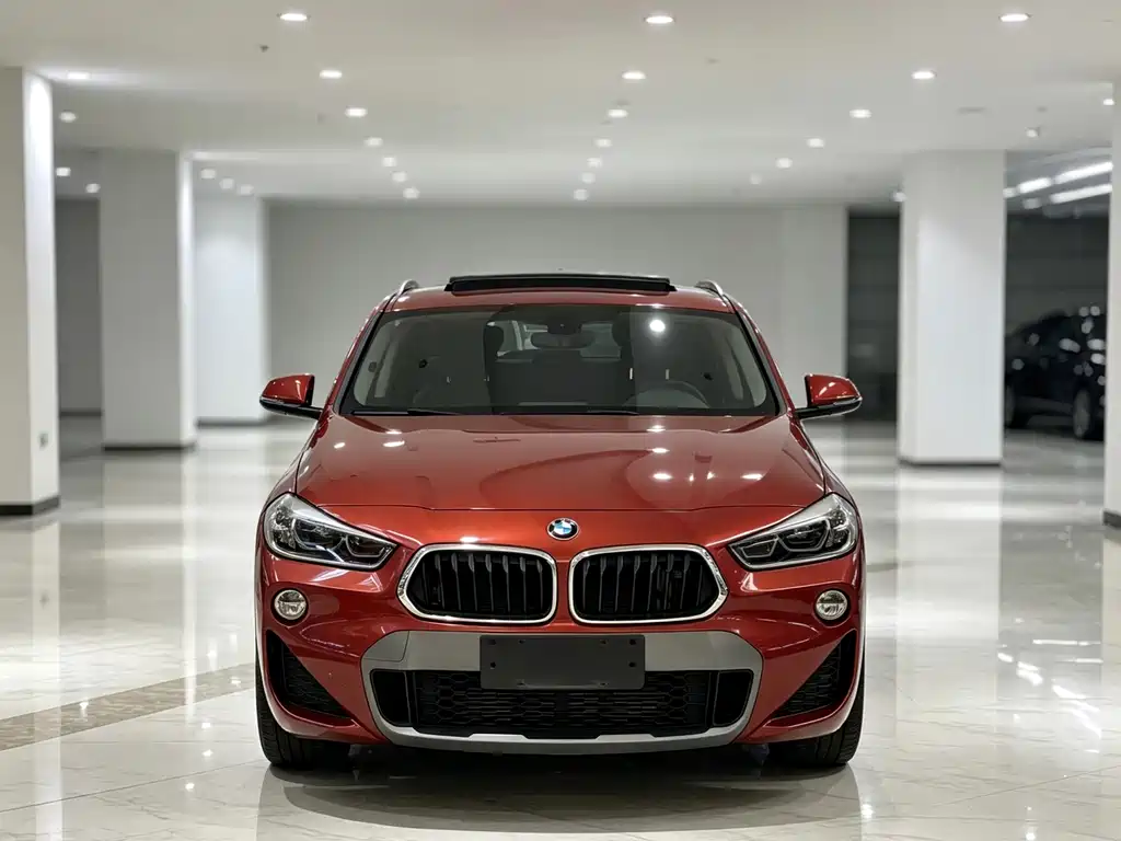 BMW X2 (Import) — фото 2