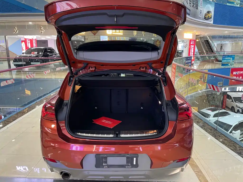 BMW X2 (Import) — фото 14