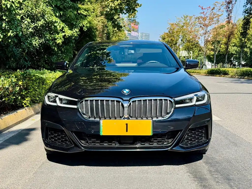 BMW 5 Series New Energy — фото 2