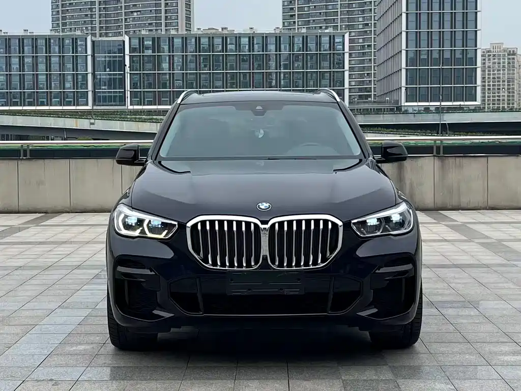 BMW X5 (Import) — фото 2