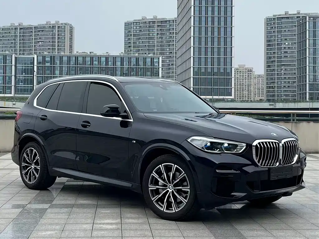 BMW X5 (Import) — фото 3