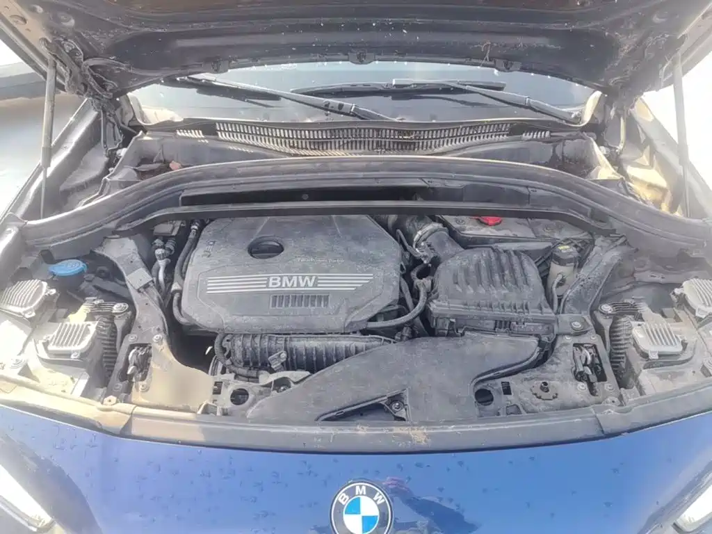 BMW X2 (Import) — фото 19