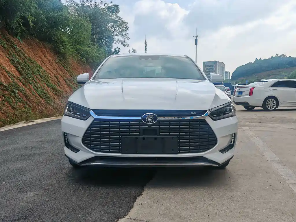 BYD Qin Pro NEV — фото 2