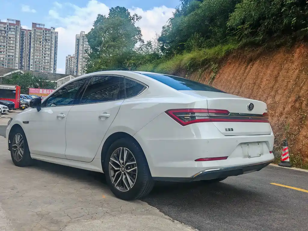 BYD Qin Pro NEV — фото 10