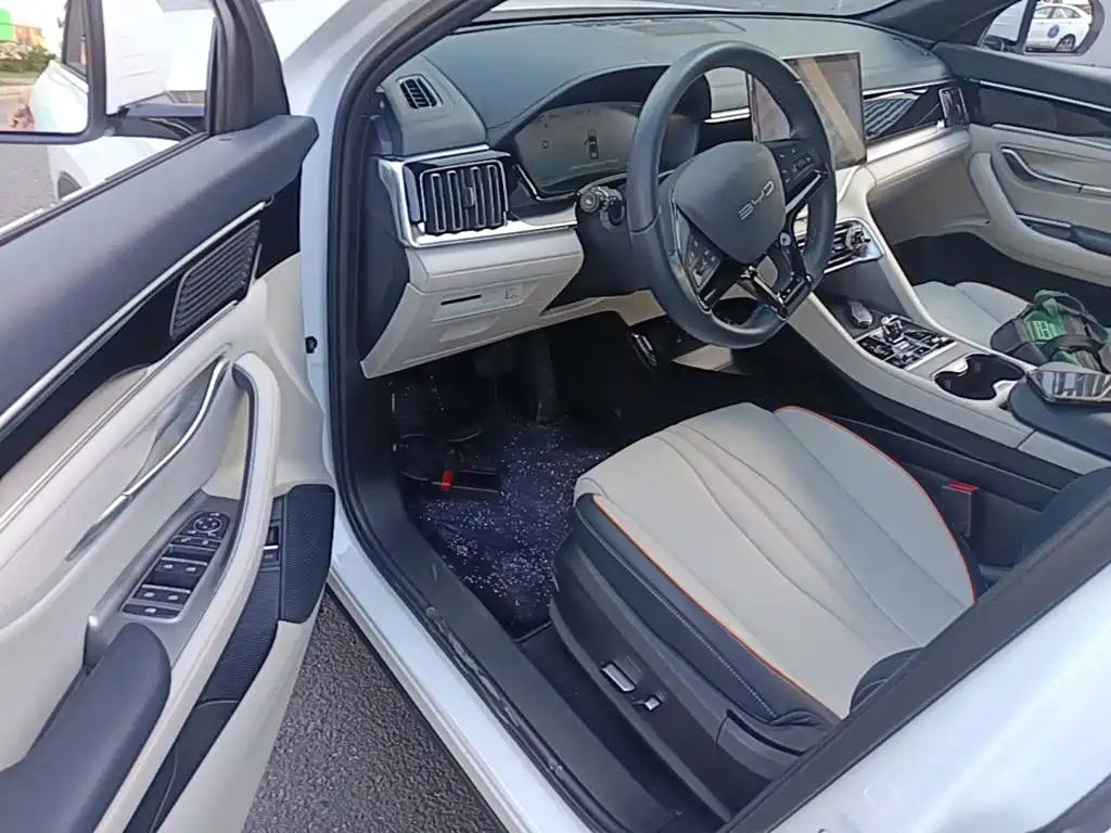 BYD PLUS New Energy — фото 15