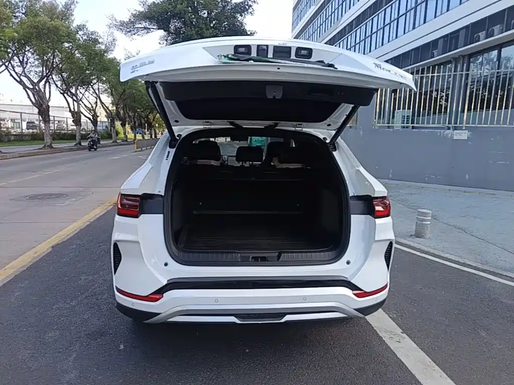BYD PLUS New Energy — фото 18