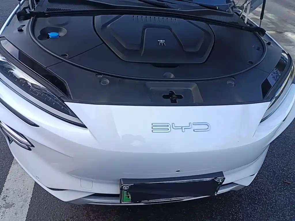 BYD PLUS New Energy — фото 19