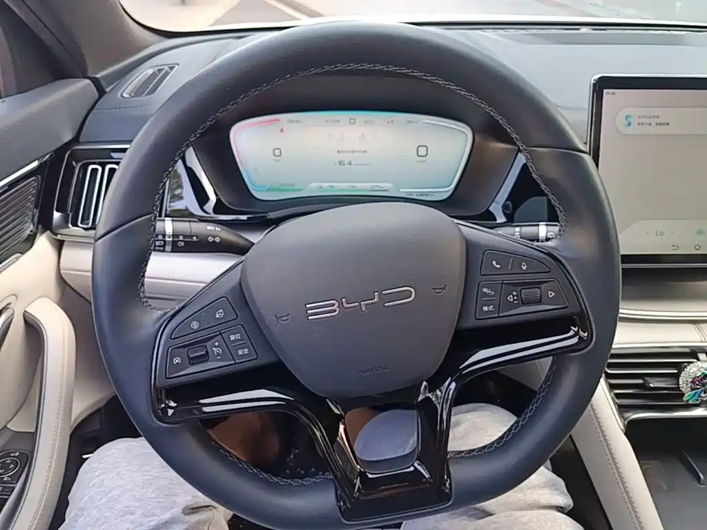 BYD PLUS New Energy — фото 10
