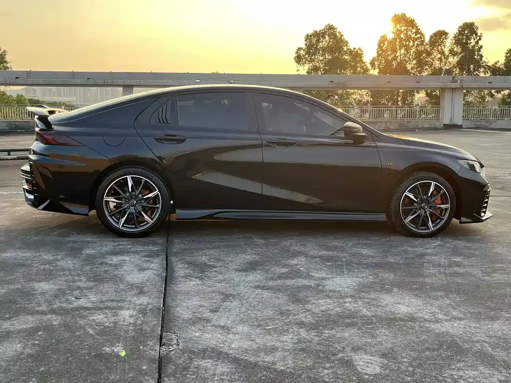 GAC Motor Shadow Leopard — фото 10
