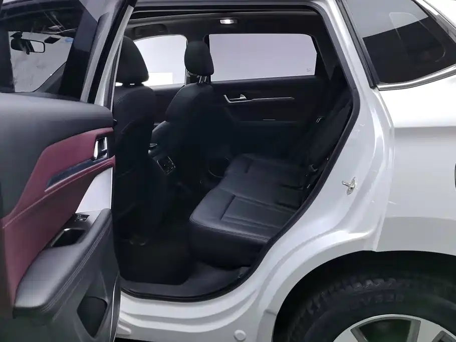 Haval H6 Coupe — фото 11