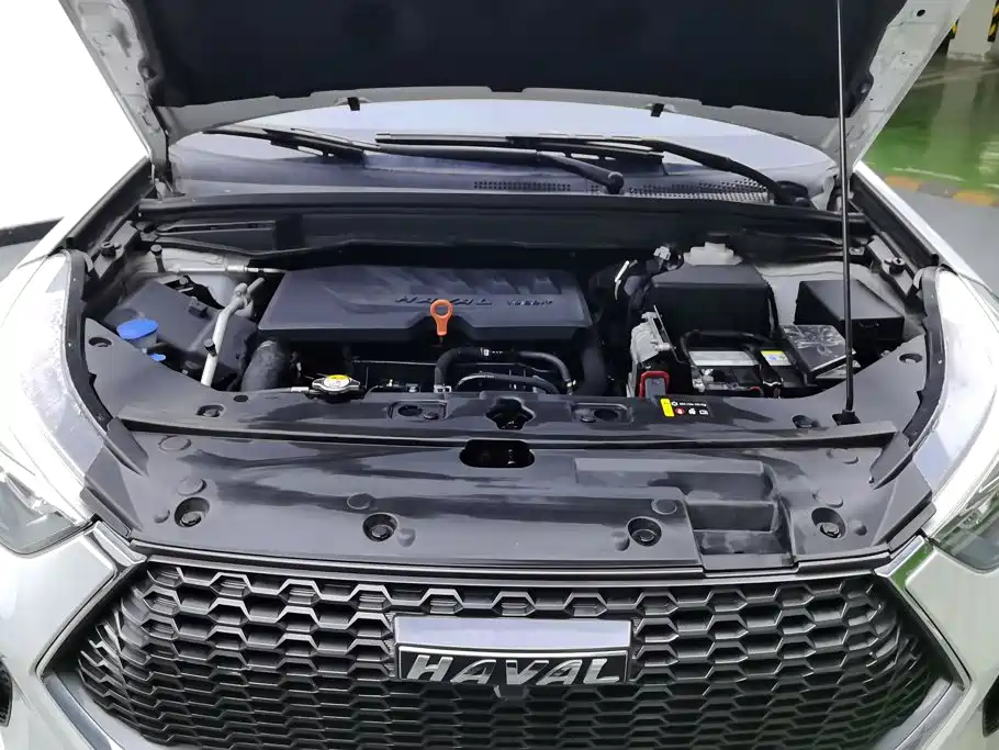 Haval H6 Coupe — фото 10