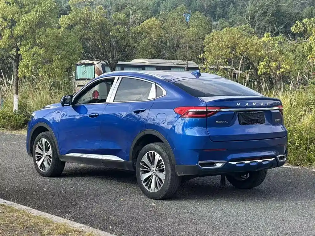 Haval F7x — фото 7
