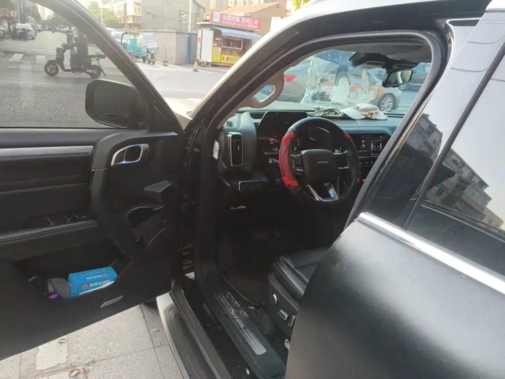 Haval Big Dog — фото 13