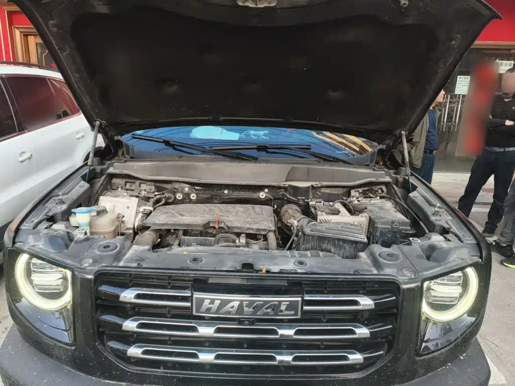 Haval Big Dog — фото 18
