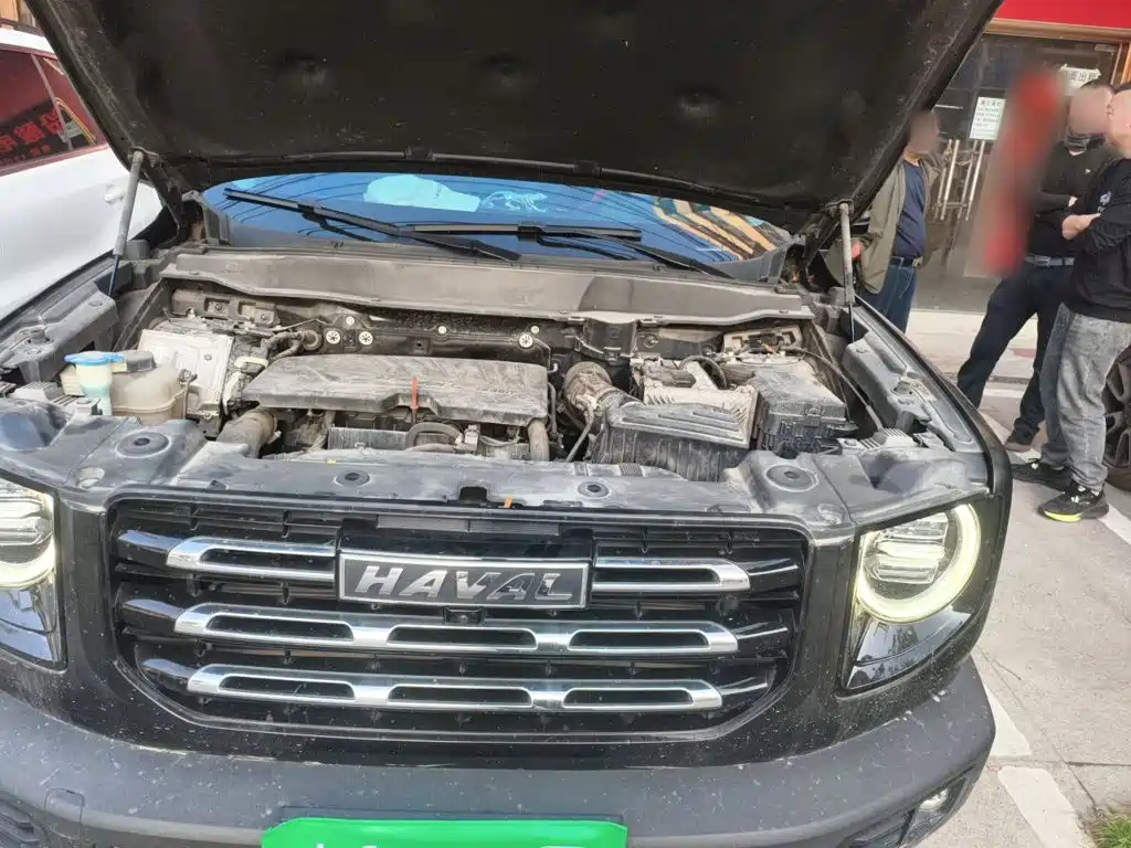 Haval Big Dog — фото 19