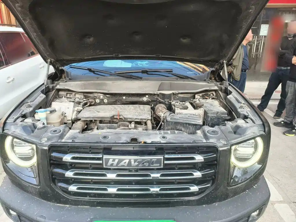 Haval Big Dog — фото 10