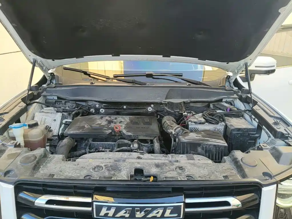 Haval Big Dog — фото 19