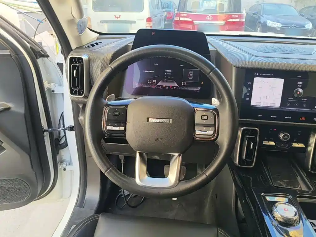 Haval Big Dog — фото 10