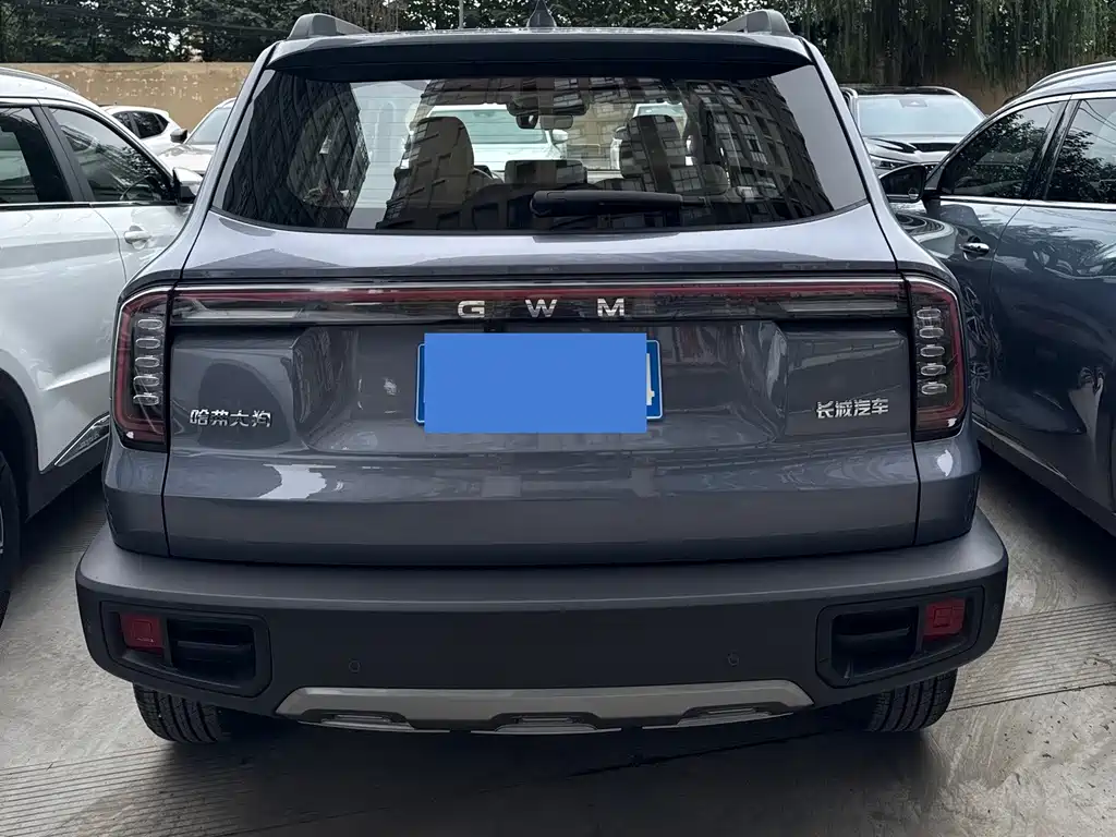 Haval Big Dog — фото 14
