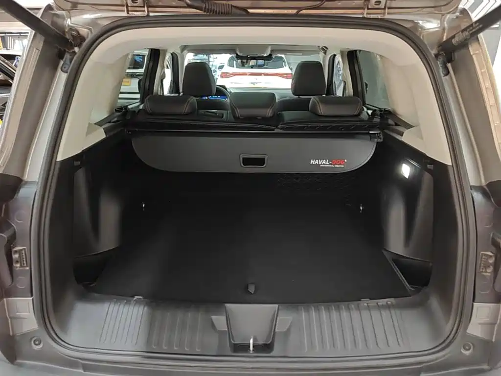 Haval Big Dog — фото 18