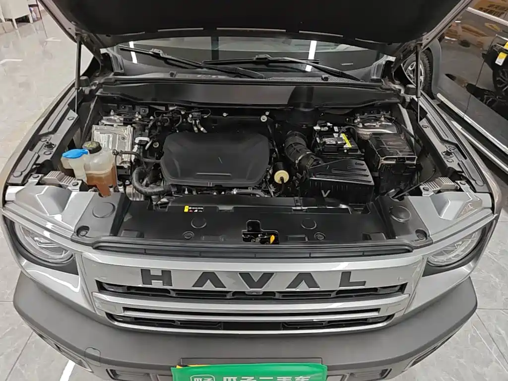 Haval Big Dog — фото 19