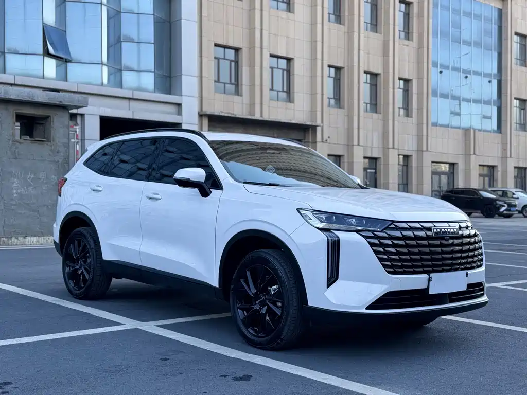 Haval H6 — фото 3
