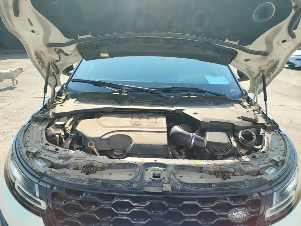 Land Rover Evoque — фото 19