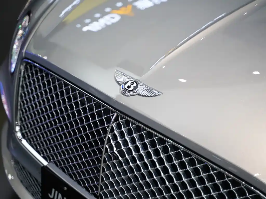Bentley Continental — фото 15