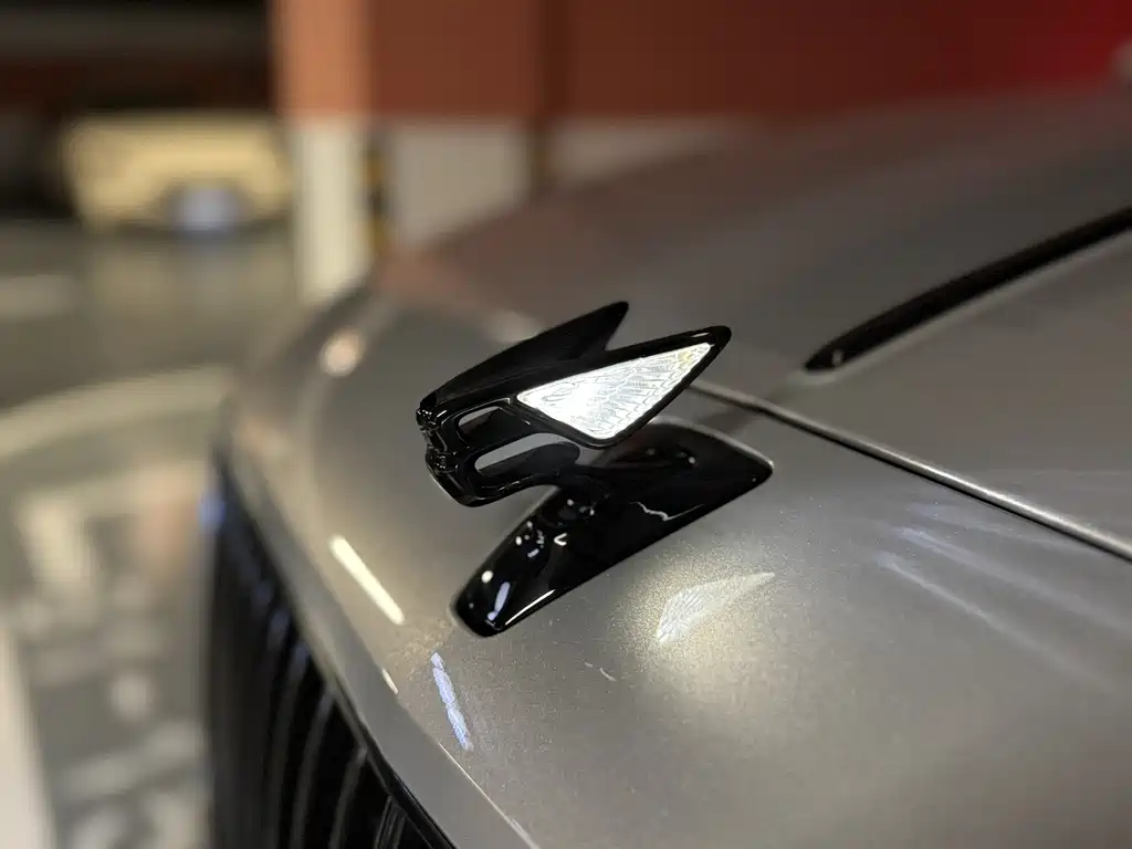Bentley Flying Spur — фото 22