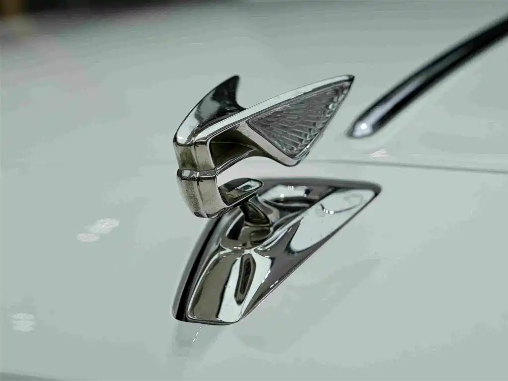 Bentley Flying Spur PHEV — фото 26