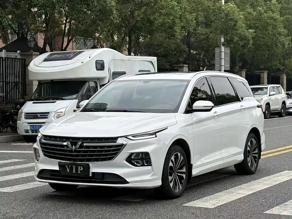 Wuling Victory — фото 1