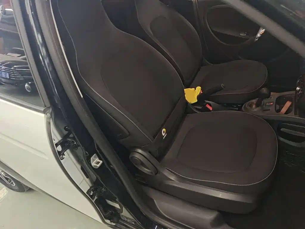 smart Smart Forfour — фото 24
