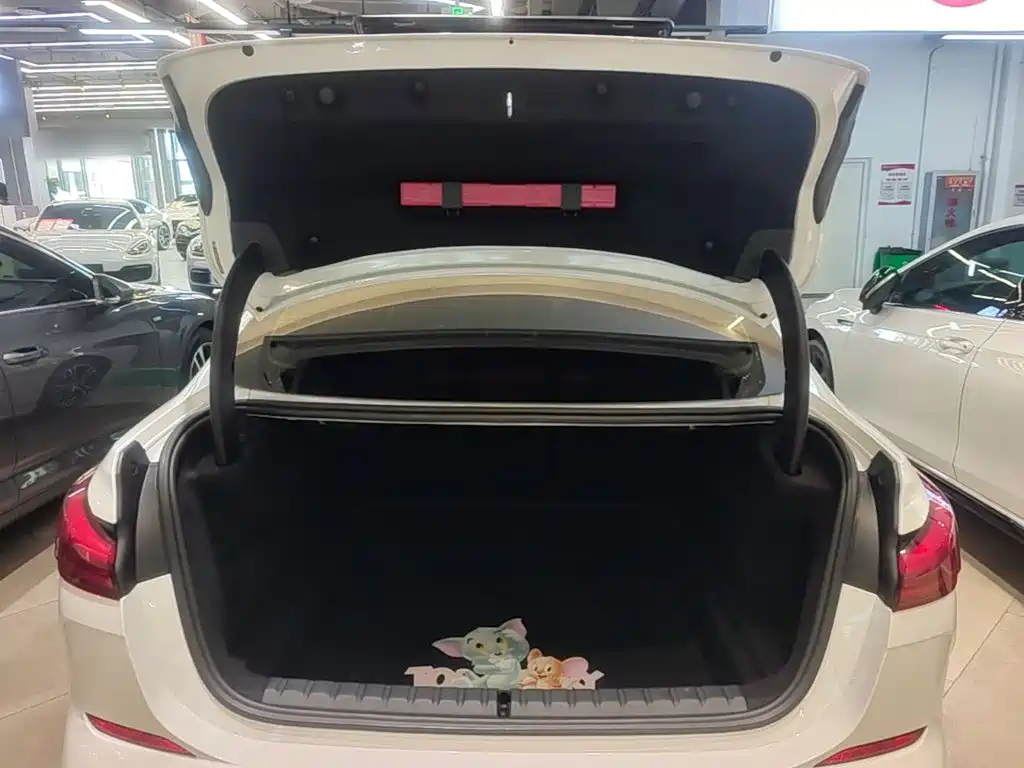 BMW 2 Series (Import) — фото 14