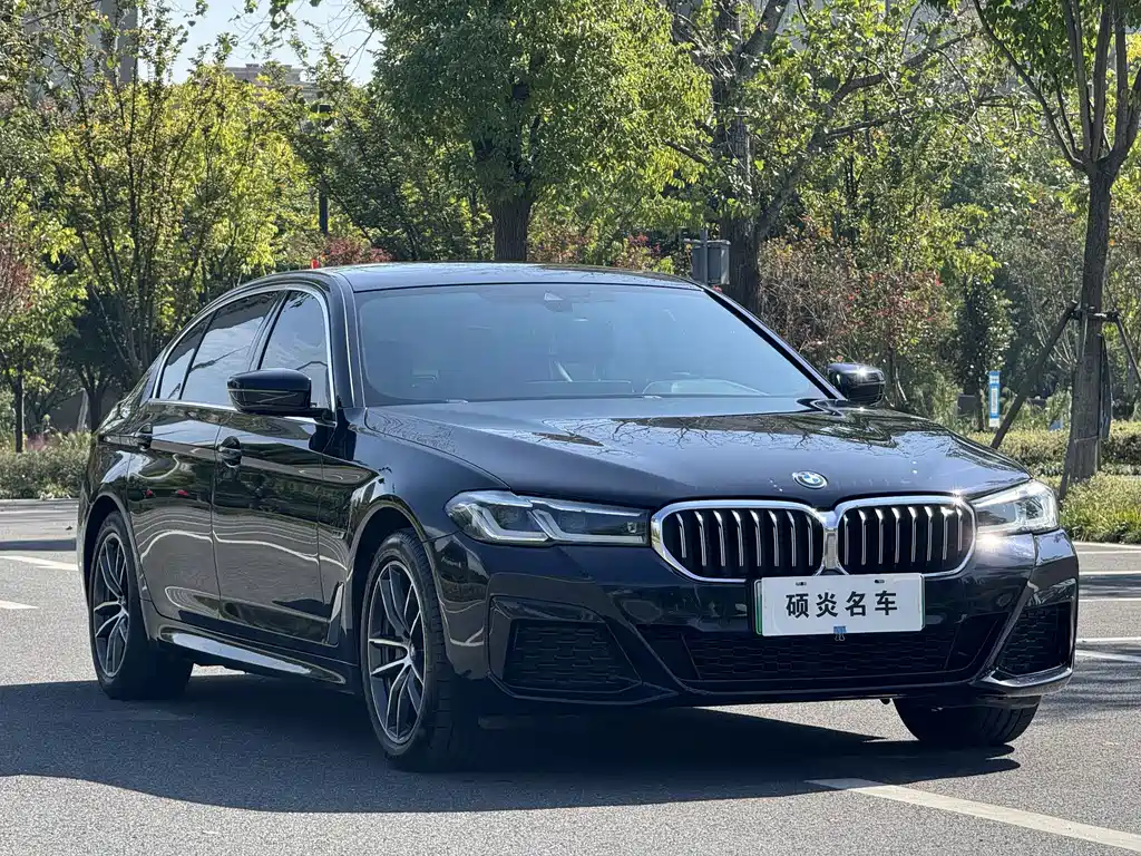 BMW 5 Series New Energy — фото 3