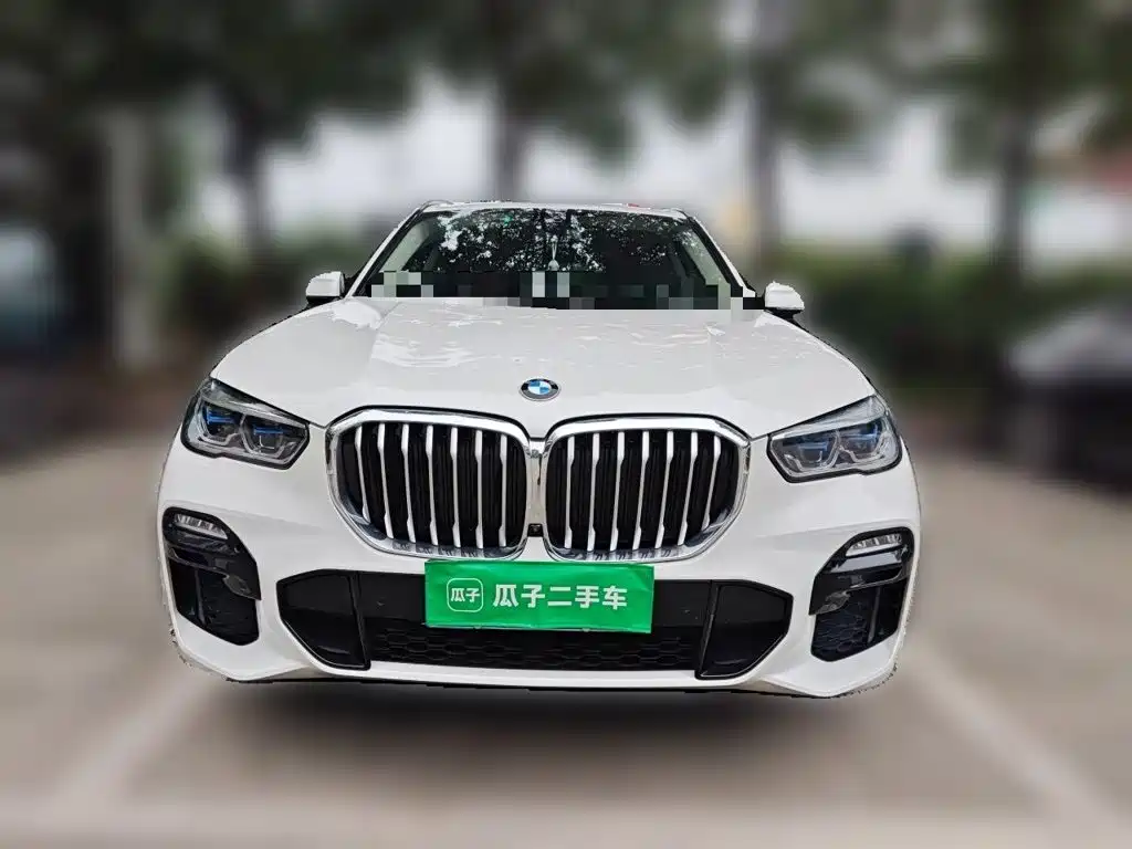 BMW X5 (Import) — фото 2