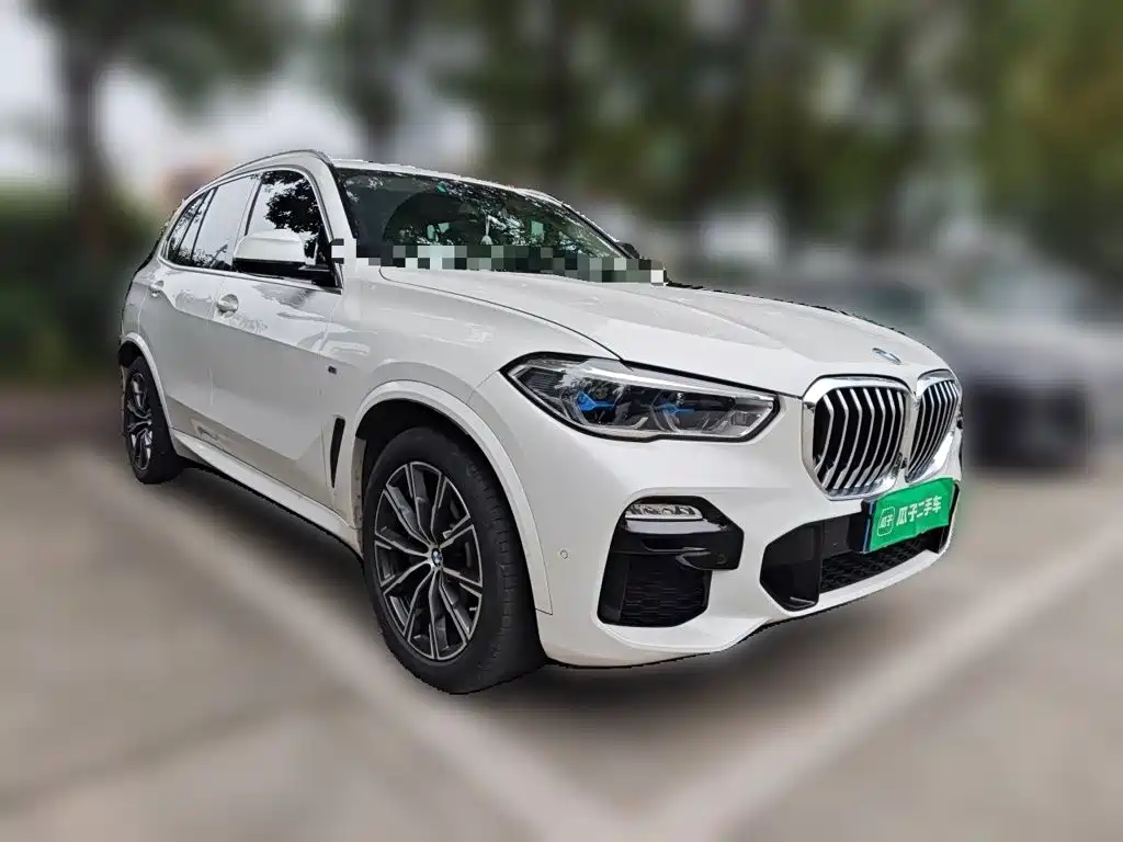 BMW X5 (Import) — фото 3