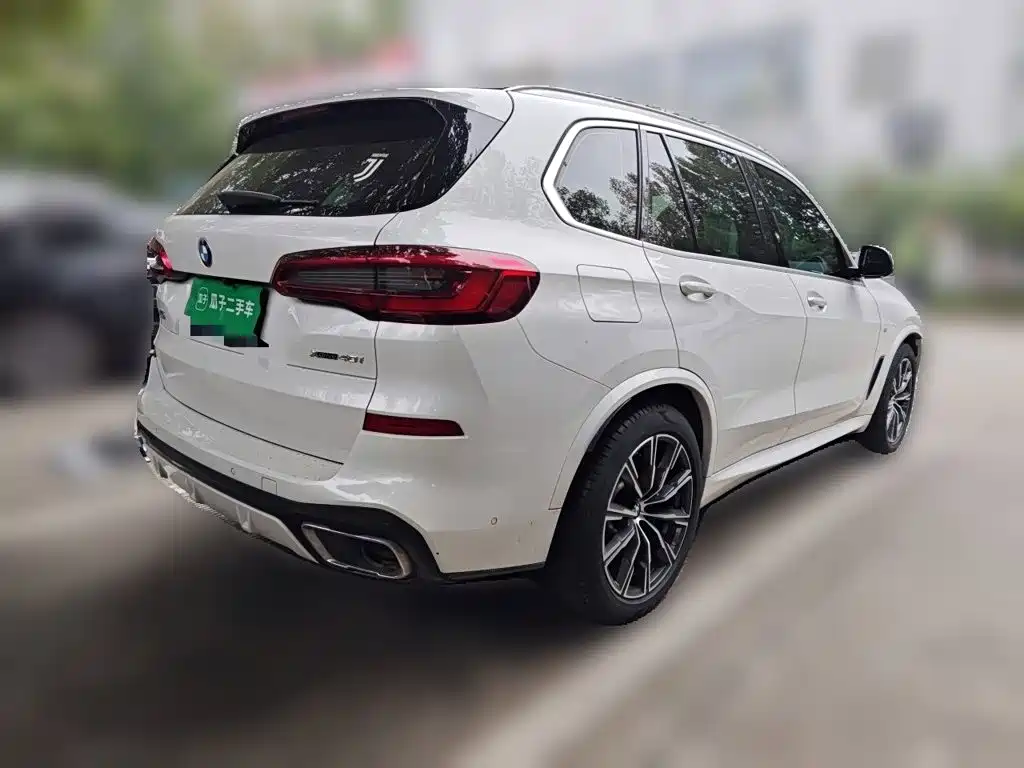 BMW X5 (Import) — фото 6
