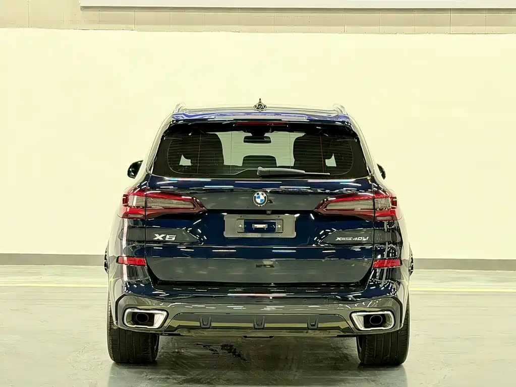 BMW X5 — фото 10