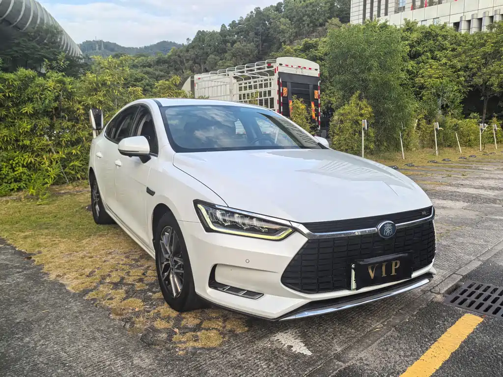 BYD Qin Pro NEV — фото 2
