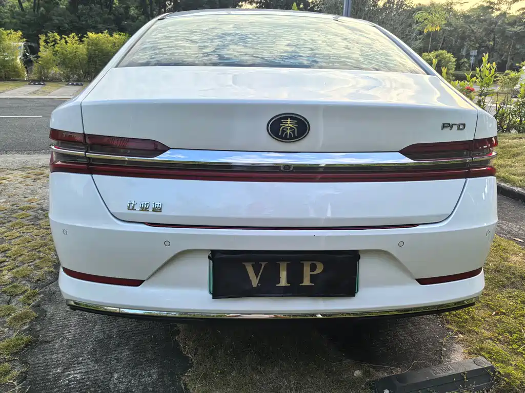 BYD Qin Pro NEV — фото 9