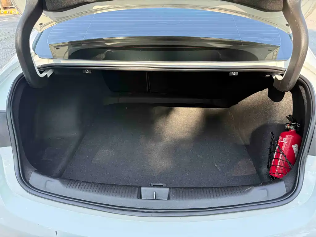 Buick Regal — фото 22