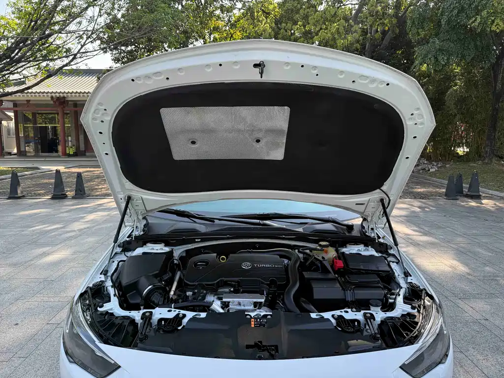 Buick Regal — фото 25