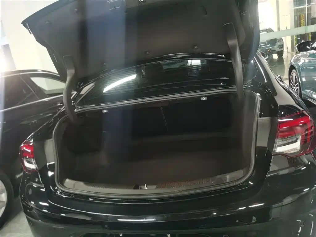 Buick Regal — фото 19