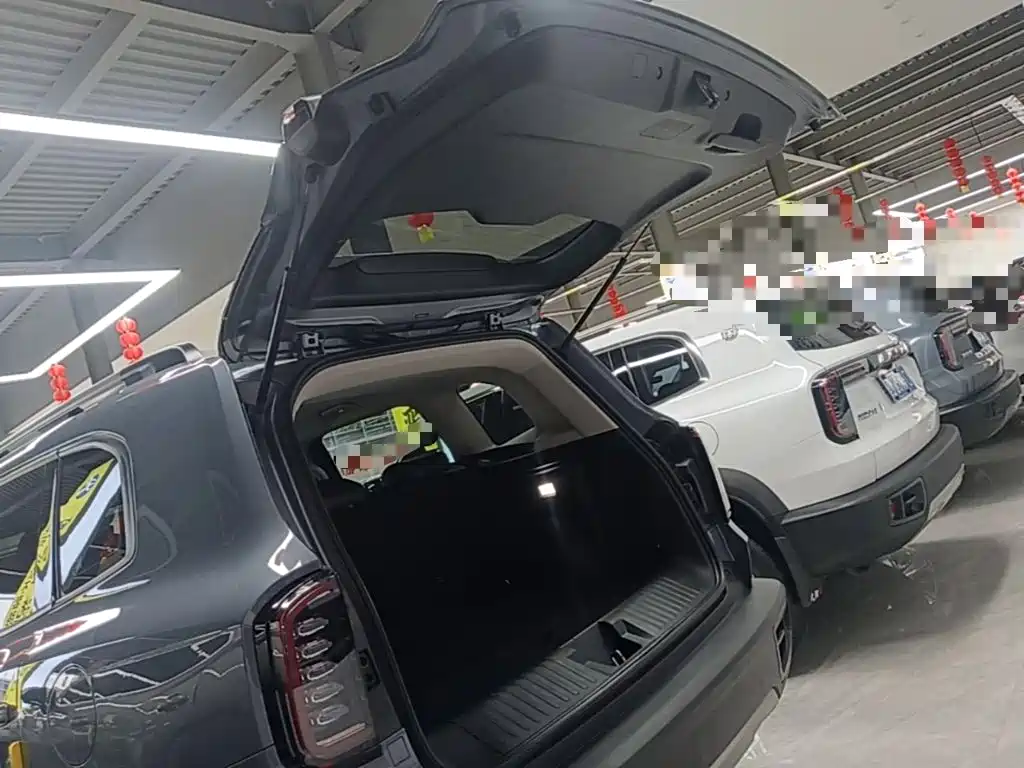 Haval Big Dog — фото 18