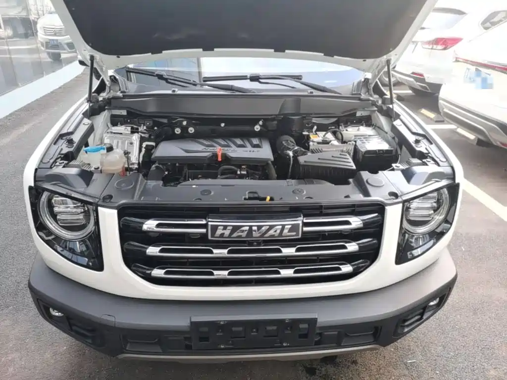 Haval Big Dog — фото 19