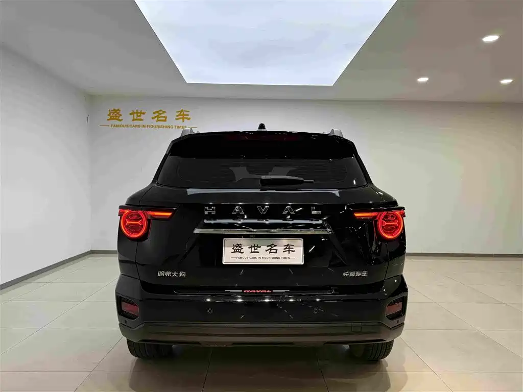Haval Big Dog PLUS — фото 19