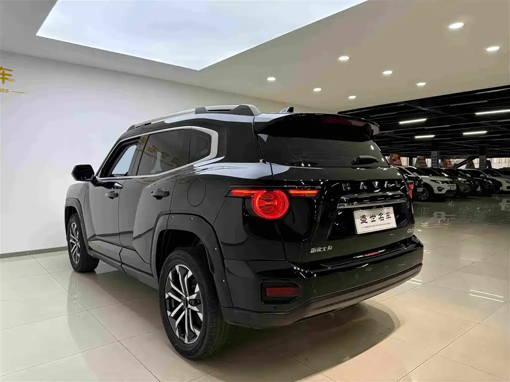 Haval Big Dog PLUS — фото 20